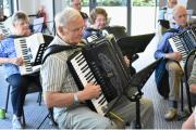 More Accordion 1